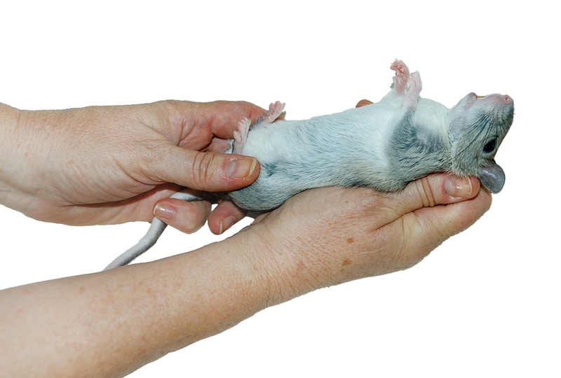 Gentle Handling of Tissue